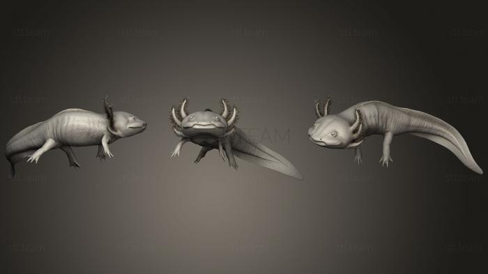 Статуэтки животных Axolote